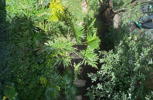 Puebla House | IDEAL HOUSE FOR GROUPS OR FAMILIES IN A HISTORIC AND WOODED AREA