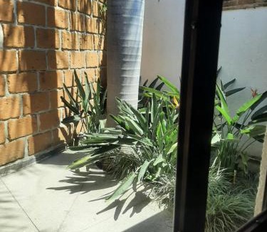 Santa Maria Ahuacatitlan Hotel | Hotel Boutique Edén Cuernavaca s