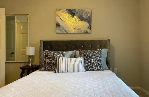 Texas Medical Center Apartment | Modern Apartment in Downton Houston