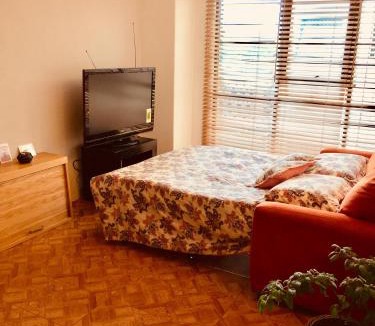 Del Carmen Apartment | The Green Heart of Coyoacan