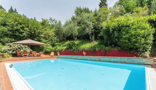 Charming mill nestled in the woods, convenient for visiting all of Tuscany