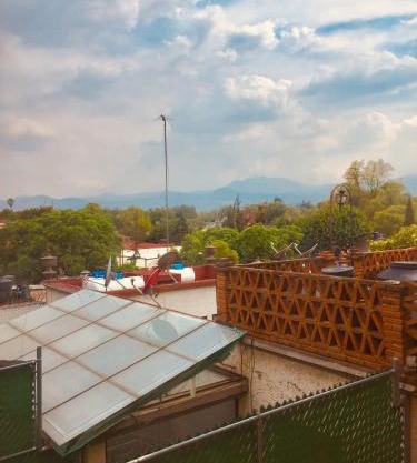 The Green Heart of Coyoacan